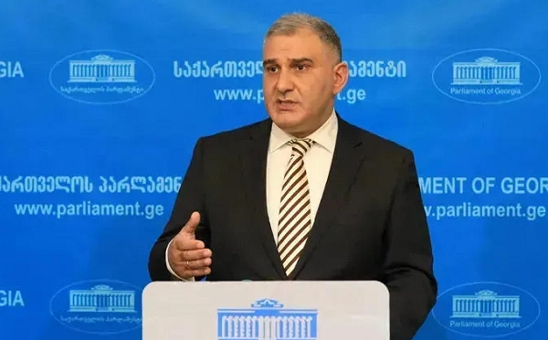 სალომე ზურაბიშვილი თავს ვალდებულად არც მიიჩნევს, რომ კონსტიტუციას დაემორჩილოს - მიხეილ სარჯველაძე