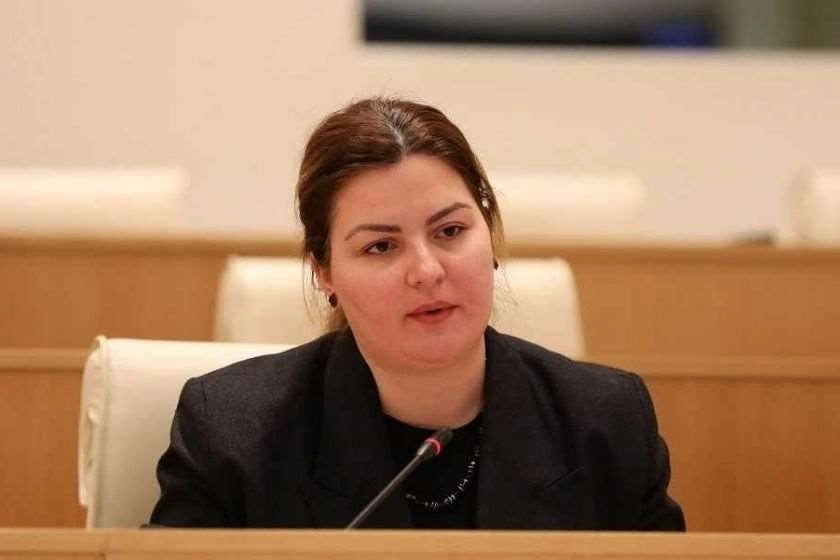 ნათელია, რომ ხელისუფლება ყველაფერს აკეთებს, რათა საქართველომ არ მიიღოს კანდიდატის სტატუსი - ანა ნაცვლიშვილი