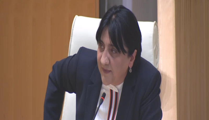 2020 წლამდე თუ მიიტანეთ სული მადლობა თქვით - ირმა ინაშვილი „ქართულ ოცნებას“ და ოპოზიციას