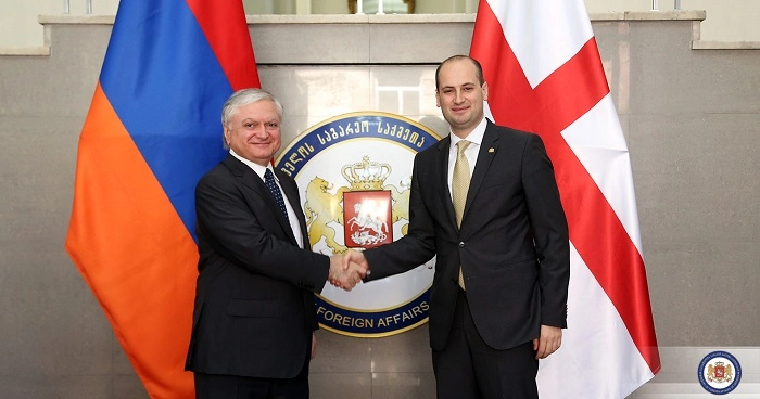 მიხეილ ჯანელიძე ედვარდ ნალბანდიანს შეხვდა