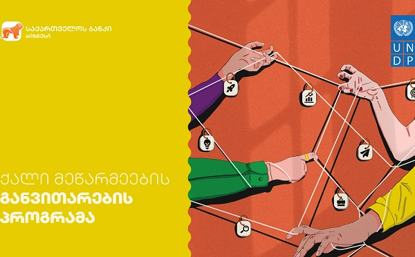 საქართველოს ბანკმა გაეროს განვითარების პროგრამასთან (UNDP) თანამშრომლობით მეწარმე ქალთა მესამე ნაკადის გადამზადება დაიწყო