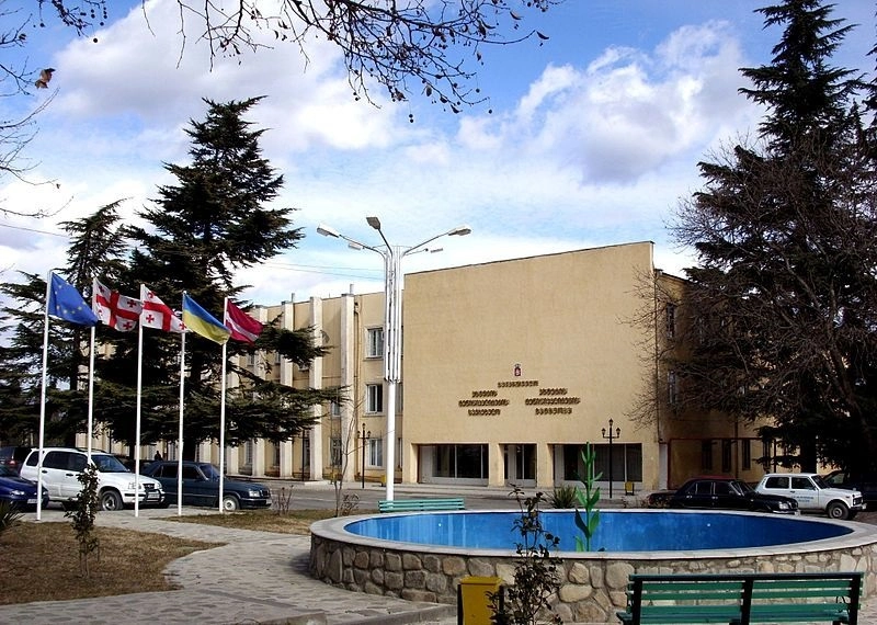 ახმეტაში საკრებულოს სხდომა ჩაიშალა