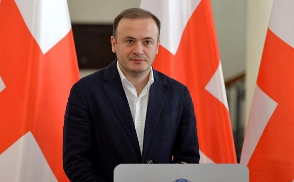 მავნებელი ხართ, თქვენ როგორც ელჩი ვერ შედექით, goodbye my darling - ირაკლი ზარქუა კელი დეგნანს
