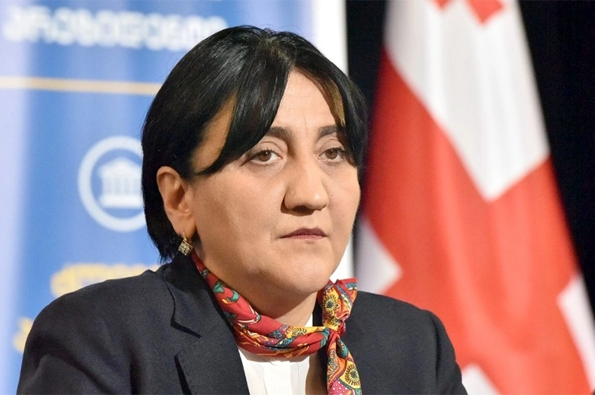 ბიზნესის ტერორი მათი მოგონილია, მედია ტერორი ქვეყანაში მათი დამკვიდრებულია - ირმა ინაშვილი "ნაციონალურ მოძრაობაზე"
