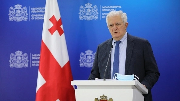 კორონავირუსის დღევანდელი სტატისტიკა არასრულყოფილია - გამყრელიძე
