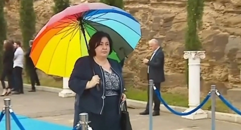 ახალ მოდელს ვეღარ მივიღებთ. უნდა შევეგუოთ იმას, რომ ამ პრინციპით უნდა ჩავატაროთ არჩევნები - ენძელა მაჭავარიანი