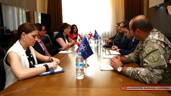 თინათინ ხიდაშელის შეხვედრა ელჩ თაკან ილდემთან