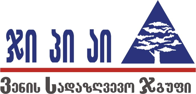 ეკა გიგაური: „ჯიპიაი ჰოლდინგი” არის ყველაზე საშინელი სადაზღვეო კომპანია