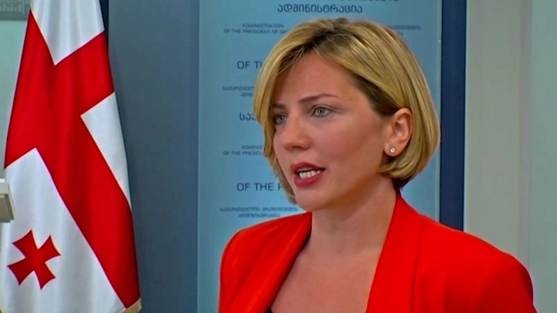 ვეტოს წარდგენა პარლამენტში არის პრეზიდენტის კონსტიტუციური უფლებამოსილება - ანა დოლიძე