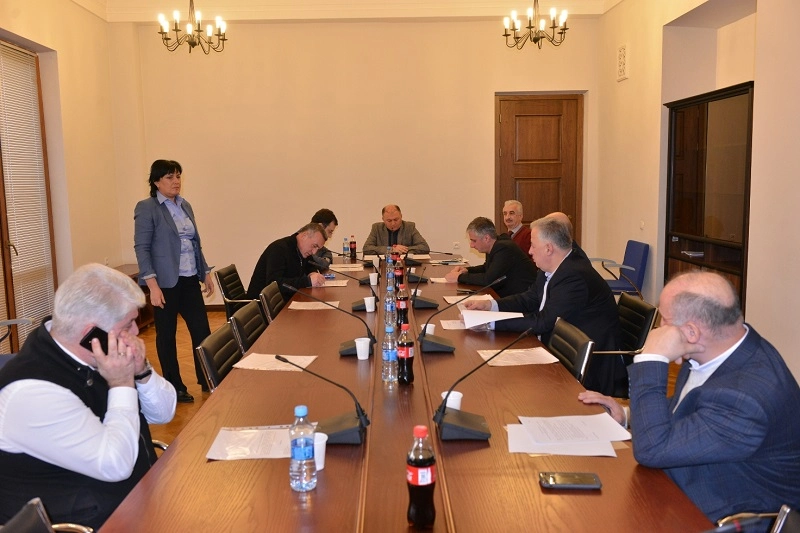  „ადგილობრივი თვითმმართველობის კოდექსში“ ცვლილების კანონპროექტი პარლამენტში მუხლობრივად განიხილეს