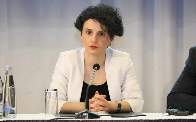 კომისიის მიერ რეკომენდაციის გაცემა ამ ეტაპზე ნაადრევია - მეზვრიშვილი