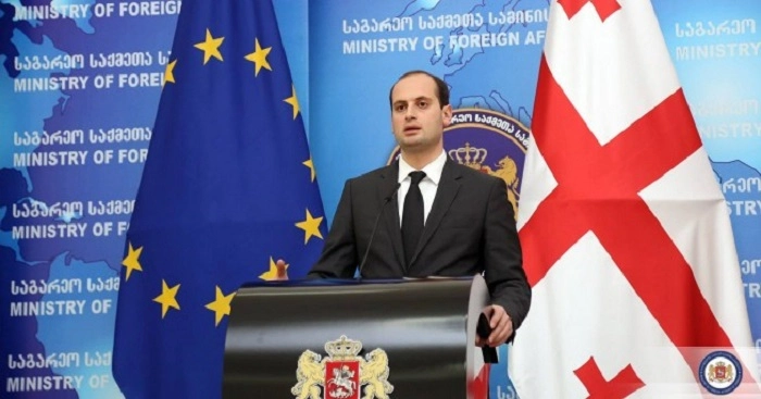 შესაბამისი ორგანოების დასადგენია დაარღვია თუ არა საქართველოს კანონი შვიდკოიმ - მიხეილ ჯანელიძე