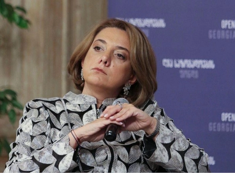 "ნაციონალური მოძრაობა" ხელს არ მოაწერს კრისტიან დანიელსონის დოკუმენტს