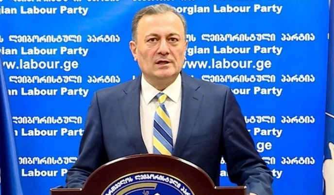 ვოლსკი კრემლის აგენტია და ის იცავს რუსეთის პოზიციას - ნათელაშვილი