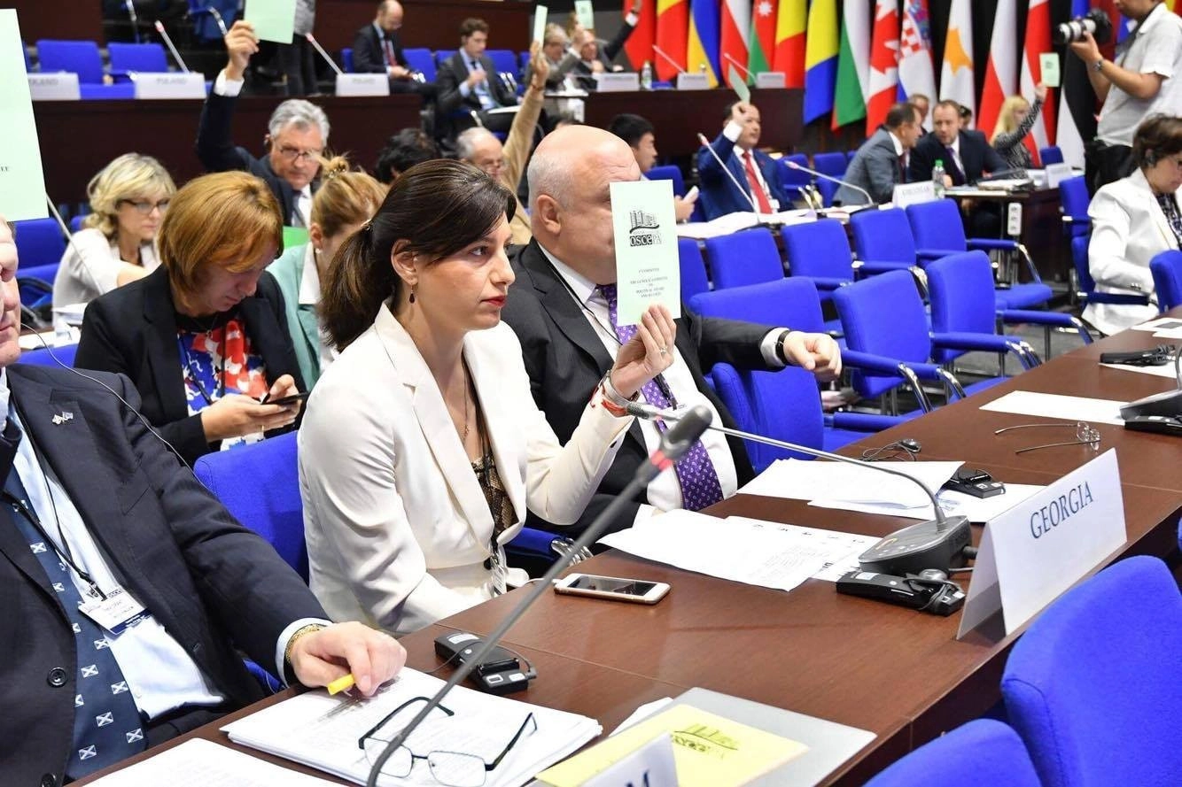  ოკუპირებულ ტერიტორიებზე არსებული ვითარების შესახებ ეუთოს რეზოლუციაში ცვლილება შევა - სოფიო ქაცარავა