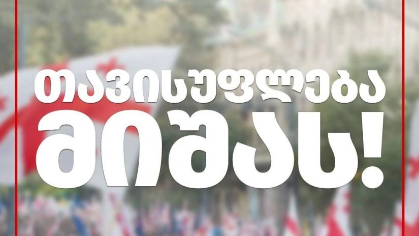 თავისუფლება მიშას!  - 4 ოქტომბერს რუსთავის ციხესთან აქცია ჩაინიშნა