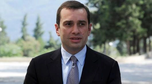 ირაკლი ალასანია: ზალკალიანმა პარტიის დატოვების გადაწყვეტილება 6 თვის წინ მიიღო
