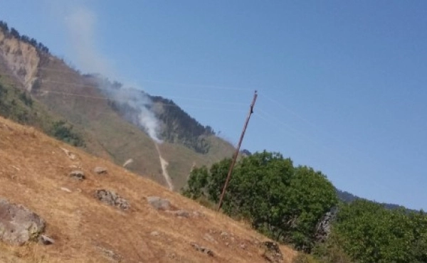 წაღვერში ტყის მასივი იწვის