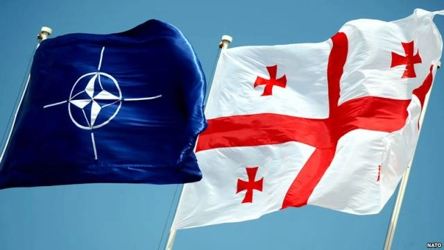 ევროკავშირს საქართველოსთვის მილიონი ხის დარგვა არ მოუთხოვია