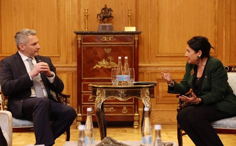  ევროინტეგრაციის გზაზე საქართველოსთვის ევროპული პერსპექტივის მინიჭება ისტორიული გადაწყვეტილებაა - სალომე ზურაბიშვილი