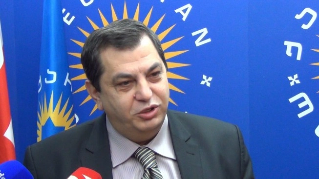 დავით ბერძენიშვილი: მეჭიაური გარიცხული უნდა იყოს პარტია "ქართული ოცნებიდან"