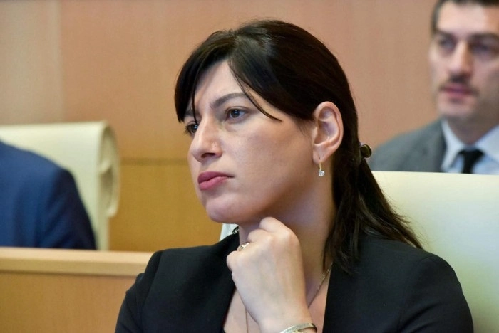 ნატოს საპარლამენტო ასამბლეა წევრ ქვეყნებს რუსეთიდან მიმდინარე საფრთხეებთან გასამკლავებლად საქართველოსთან თანამშრომლობის გაძლიერებისკენ მოუწოდებს - სოფო ქაცარავა