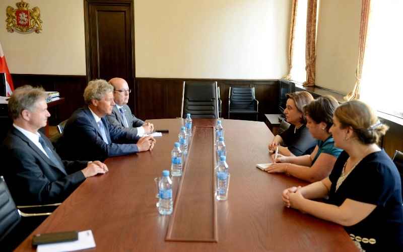 მანანა კობახიძე გერმანიის ფედერაციული რესპუბლიკის დელეგაციას შეხვდა