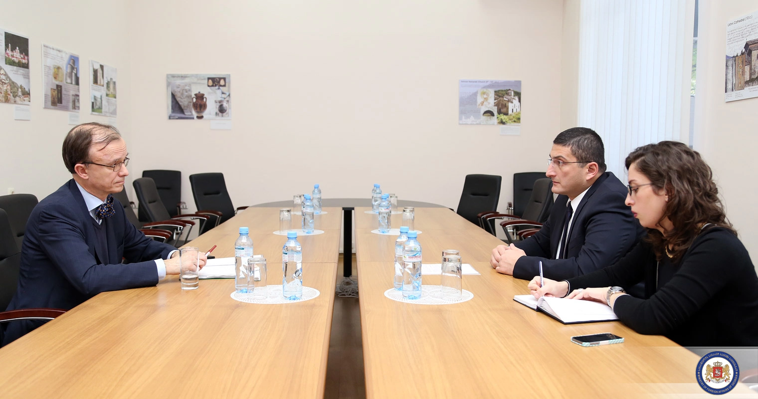 გიგი გიგიაძე საქართველოში ფინეთის ელჩს შეხვდა