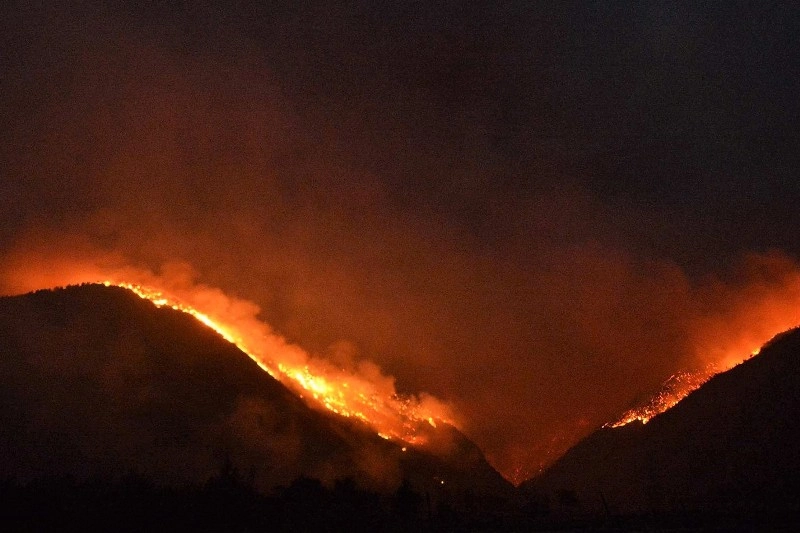 ბორჯომის ტყეში გაჩენილი ხანძრის შედეგად 12 ჰექტარზე მეტია დამწვარი