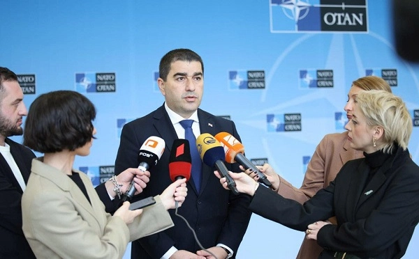 ევროპა არის ჩვენი მსოფლმხედველობა, ჩვენი სულიერება და ბუნებრივი მდგომარეობა, ის, რაც განფენილია ქართველი კაცის ლექსში, სიმღერასა და ცეკვაში, სადღეგრძელოში, ადამიანის სიყვარულსა და მიმტევებლობაში - შალვა პაპუაშვილი