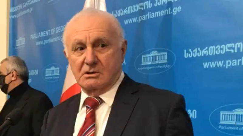 დავრწმუნდით, რომ არჩევნები მართლაც არ გაყალბებულა - ფრიდონ ინჯია 