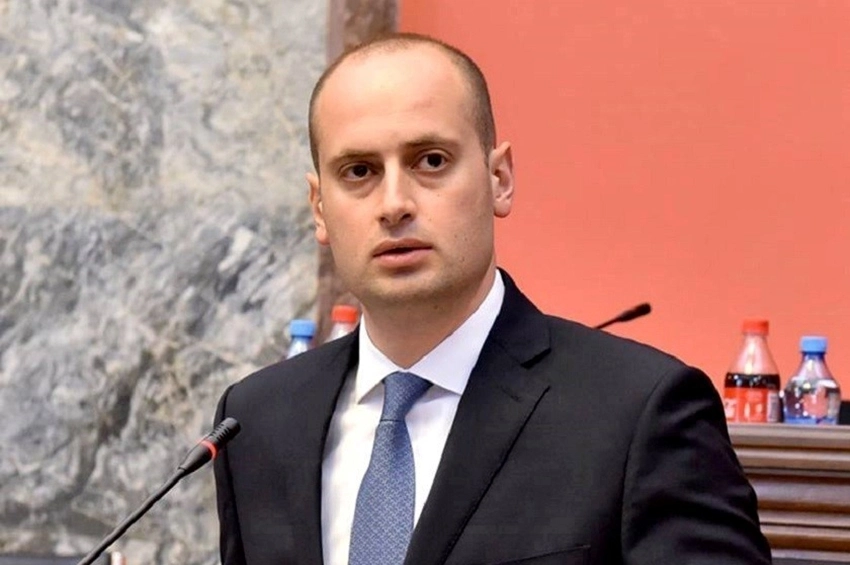ვიზალიბერალიზაციით 220 ათასზე მეტმა ადამიანმა ისარგებლა - მიხეილ ჯანელიძე