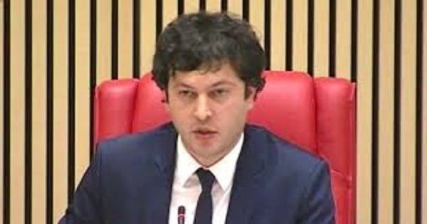 ირაკლი კობახიძემ კონსტიტუციური კანონის პროექტი მესამე მოსმენით პლენარულ სხდომაზე წარადგინა