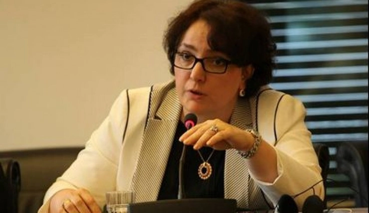 ხიდაშელი: აფხაზეთსა და ცხინვალის რეგიონთან მიმართებაში გერმანელების მსგავსად ვიმოქმედებთ