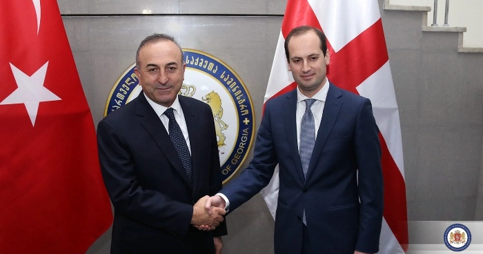 მიხეილ ჯანელიძემ თურქ კოლეგას საგარეო საქმეთა სამინისტროში უმასპინძლა
