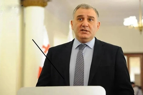 მენტალური ჰიგიენა მავალდებულებს, არ ვისაუბრო იმ სიტყვებით, რაც ემოციურად პირველი მომივა თავში - მიხეილ სარჯველაძე არესტოვიჩის განცხადებაზე
