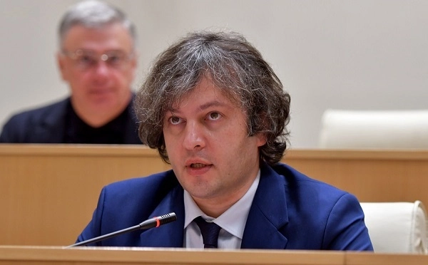 მნიშვნელოვანია, რეზოლუციისა და დეოლიგარქიზაციასთან დაკავშირებით  ჩანაწერის განეიტრალება უშუალოდ ევროკავშირის მხრიდან - კობახიძე