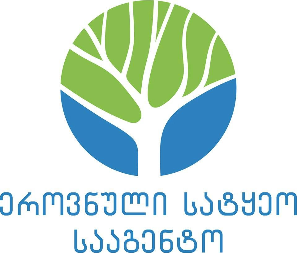  ბორჯომში, ხეების სანიტარულ ჭრებთან დაკავშირებით, ეროვნული სატყეო სააგენტო განმარტებას აკეთებს