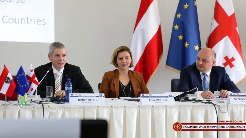  ანა დოლიძე CSDP -ს საორიენტაციო კურსის გახსნაზე სიტყვით გამოვიდა
