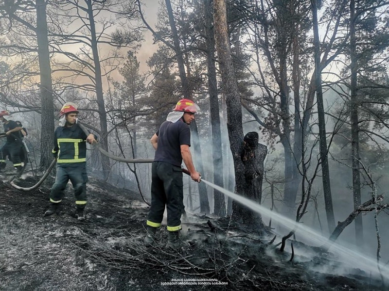 საქართველოს მასშტაბით ტყის ქვედა საფარის ხანძრის 10 აქტიური კერაა