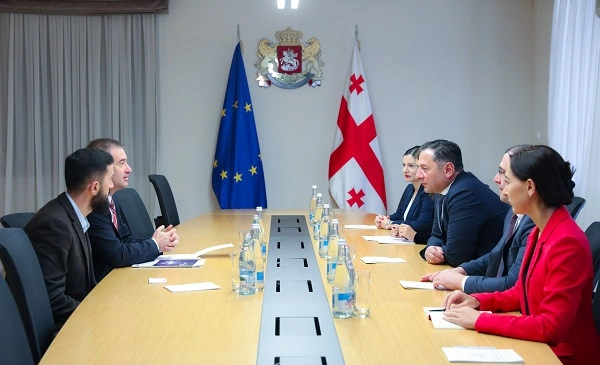 ვახტანგ გომელაური საქართველოში ევროპის საბჭოს ოფისის ხელმძღვანელს შეხვდა