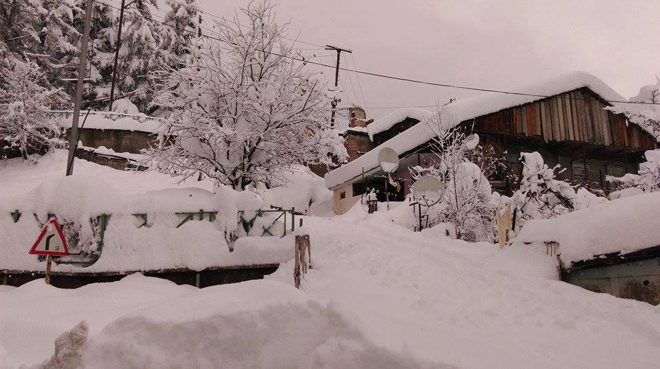 თოვლისა და დაბალი ტემპერატურის გამო, აჭარასა და გურიაში კვლავ  რთული ვითარებაა