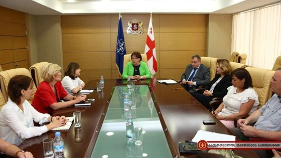 საგამოძიებო ჯგუფის ანგარიში თავდაცვის მინისტრს