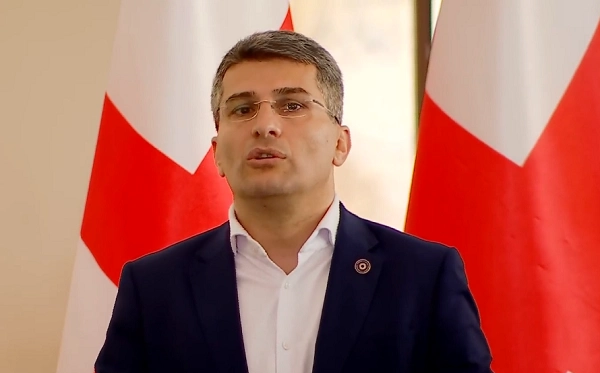 ამერიკულ ვარიანტს, პირდაპირ გადმოთარგმნილს ჩვენი მხარდაჭერა არ ექნება - მდინარაძე "აგენტების" კანონპროექტზე 