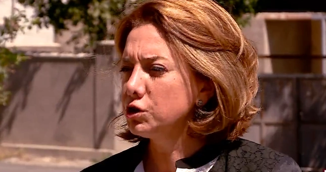 შევთანხმდით,  რომ ამნისტია ვერ შეეხება იმ მუხლებს, რომლებიც არის კონვენციით დაცული - სამადაშვილი