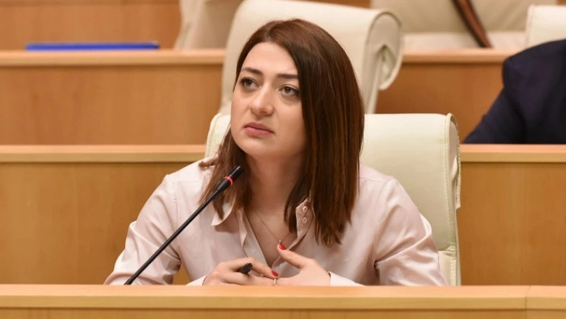 პრაიმერიზზე საუბარი „ქართული ოცნების“ დახმარება და ოპოზიციურ სპექტრში მასკარადის მოწყობის მცდელობაა  - ბუჩუკური