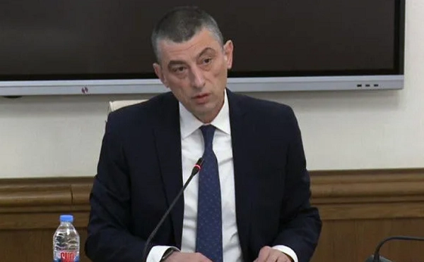 ჩვენ ვთქვით, რომ არ ვუშვებთ, ატყდა ერთი ამბავი, პარლამენტიდან რეკვები, თხოვნები, მაშინ პარლამენტის ხელმძღვანელობამ აიღო კონკრეტულად პასუხისმგებლობა, ეს იყო კობახიძე - გიორგი გახარია გავრილოვზე