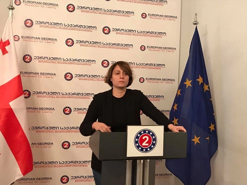  გადასატან ყუთებში შეყვანილი ჰყავთ ფიზიკურად ჯანმრთელი ადამიანები - ელენე ხოშტარია