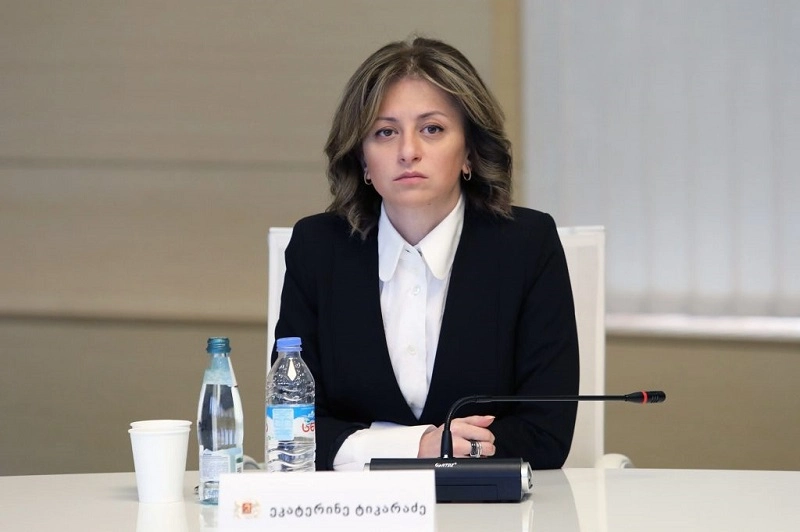 არ გვაქვს არც პლატო და არც ვაკე, გვაქვს ტეხილი - ეკატერინე ტიკარაძე