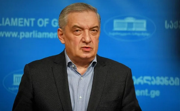 მიჭირს წარმოდგენა, თამარ ჩუგოშვილი თავისივე მხარდაჭერილი მუხლის დარღვევას როგორ დაასაბუთებს - გია ვოლსკი